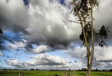 外援表现哪家强，团队荣誉如何分光