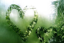 格拉纳达主场力克瓦拉多利德，豪取三分