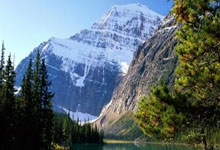 全队作战，南安普顿主场大获全胜