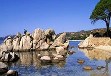 对手实力均衡，比赛结果未分伯仲